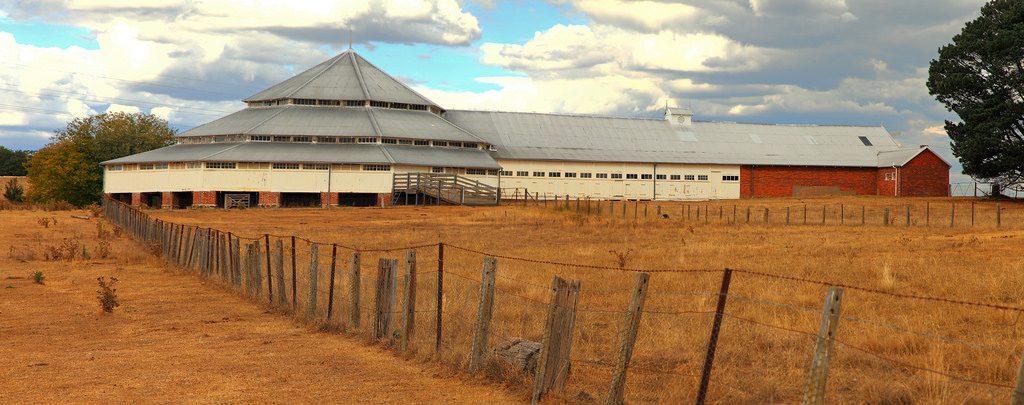 unique octagonal Deeargee Woolshed near Uralla, NSW